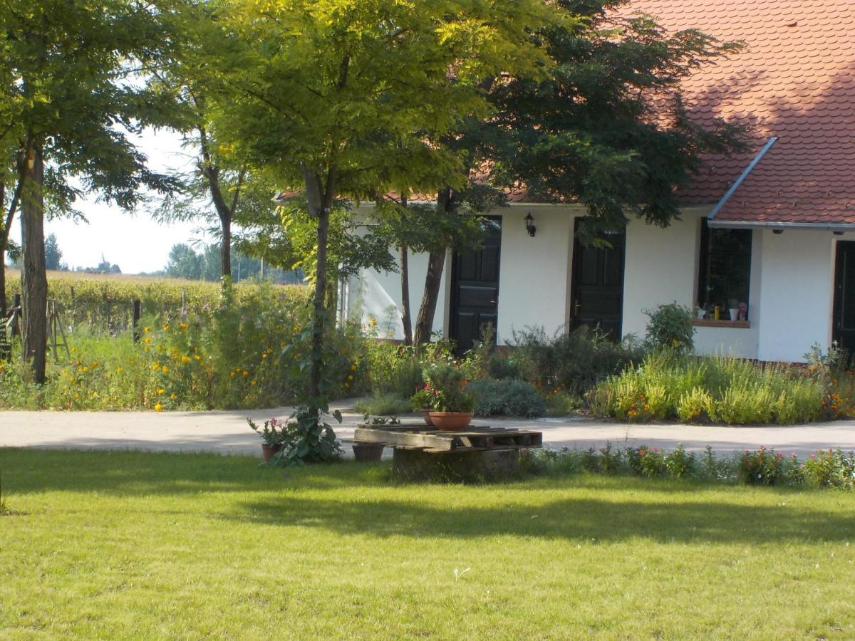 Guest House Vidravar Tabdi Экстерьер фото