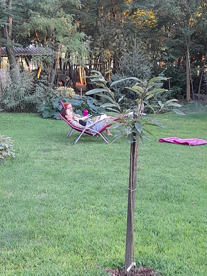 Guest House Vidravar Tabdi Экстерьер фото